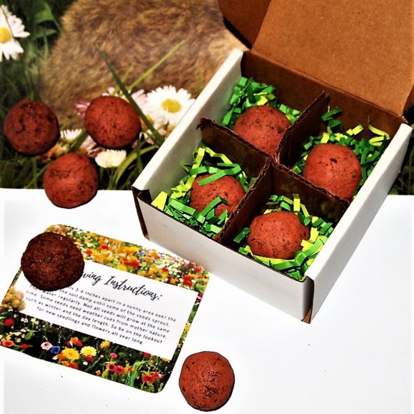 The Accessoire Co. Other - Save the Bee's Seed Bombs,  Butterflies, Gardening